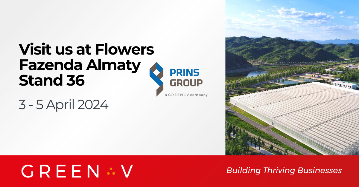 Flowers Fazenda Almaty 2024